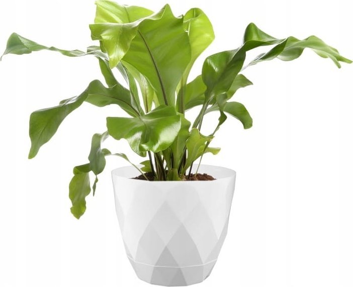 Galicja Doniczka z podstawką biała dekoracyjna plastikowa 27,5 cm