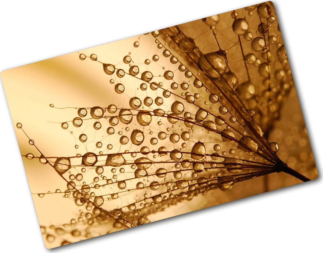 Deska do krojenia Tulup szklana sowy retro 3 80x52cm