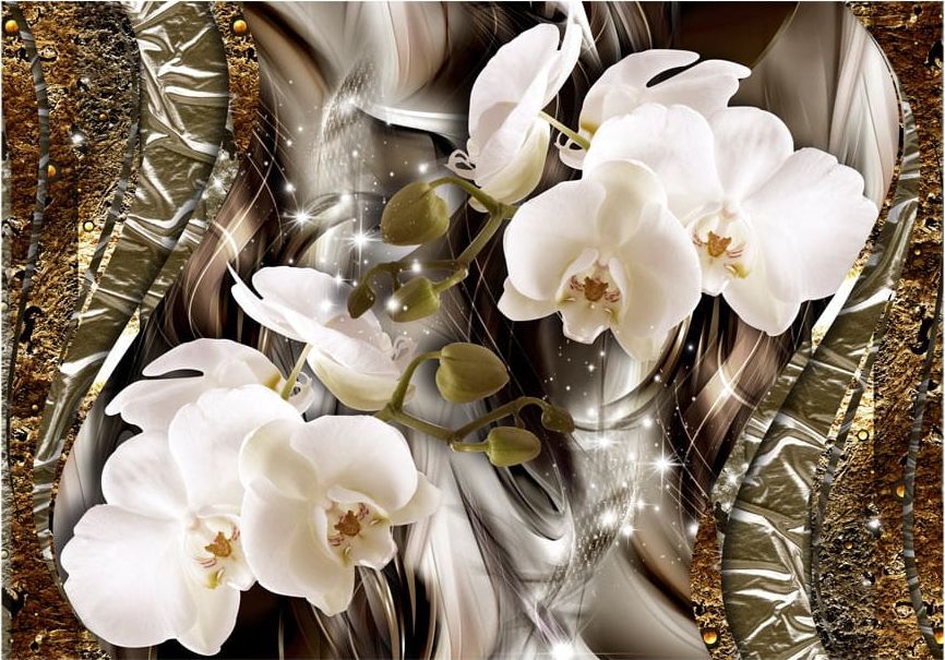 DecoNest Fototapeta - Poszukiwacze piękna - 100X70