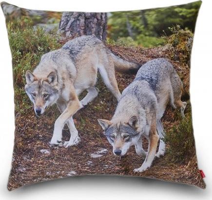 AUUU Poduszka BLISKO, CORAZ BLIŻEJ