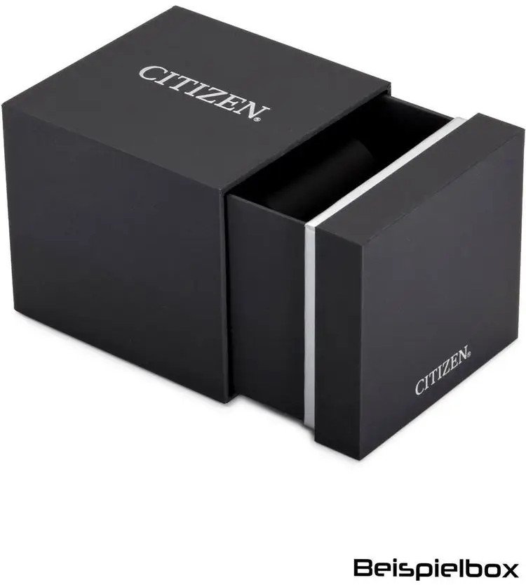 Zegarek Citizen Eco-Drive FE1243-83A