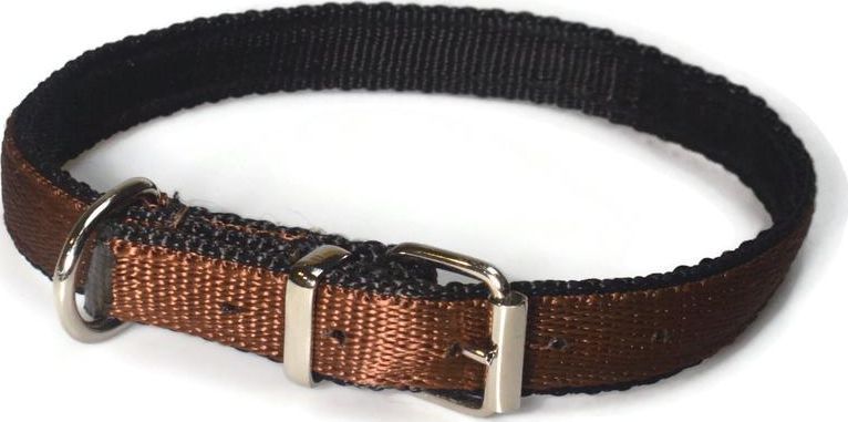 Alizoo Mocna podwójna obroża dla psa 20mm/40-48cm - ALIZOO