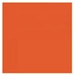 Canson Karton Canson Mi-teintes A4 160g 50ark 113-parma (200321638)