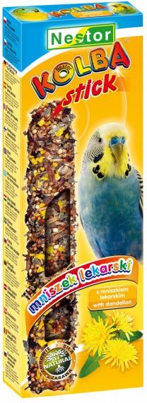 Nestor KOLBA PAPUGA MAŁA MNISZEK LEKARSKI