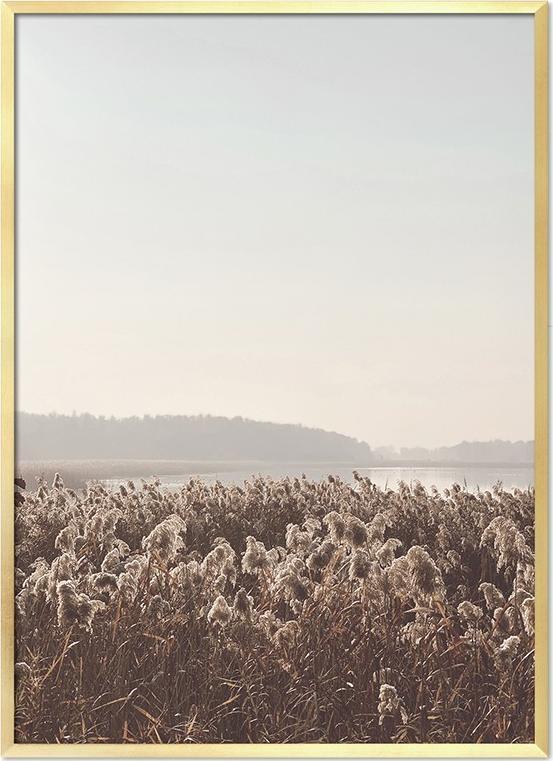 ART-POL Krajobraz lasu 53x73cm