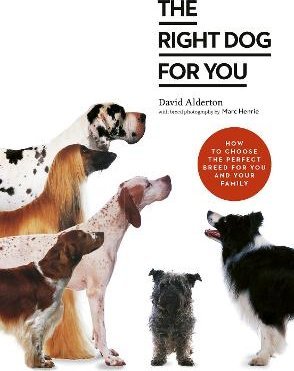The Right Dog for You: How to choose the perfect breed for you and your family