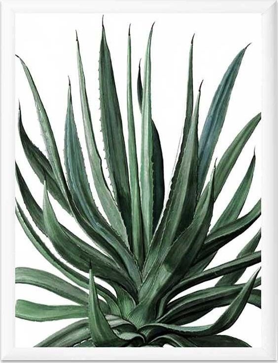 GO-BI Obraz - REPRODUKCJE NOWOŚCI 33x43cm