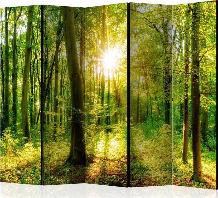 Artgeist Parawan 5-częściowy - Promienie lasu II [Room Dividers] uniwersalny