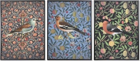 DKD Home Decor Obraz DKD Home Decor Vtk (40 x 3,5 x 55 cm) (3 Sztuk)