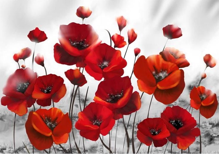 DecoNest Fototapeta - Maki w blasku księżyca - 300X210