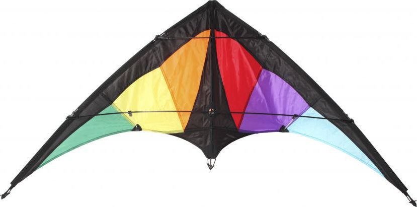 IMEX Latawiec sportowy Dragon 115