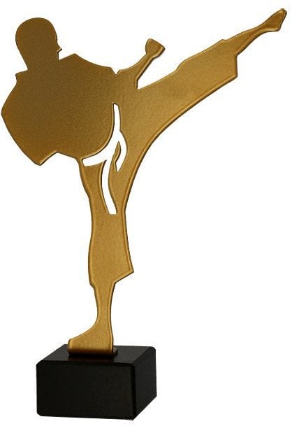 Victoria Sport Trofeum metalowe z marmurową podstawą - Karate - karateka