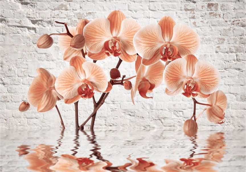 DecoNest Fototapeta - Pomarańczowy łuk - 250X175