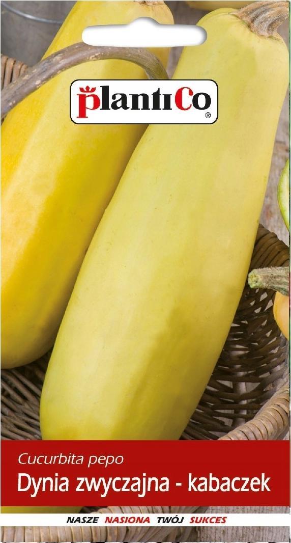 Plantico Dynia Zwyczajna Kabaczek Złoty Cepelin 2g PlantiCo