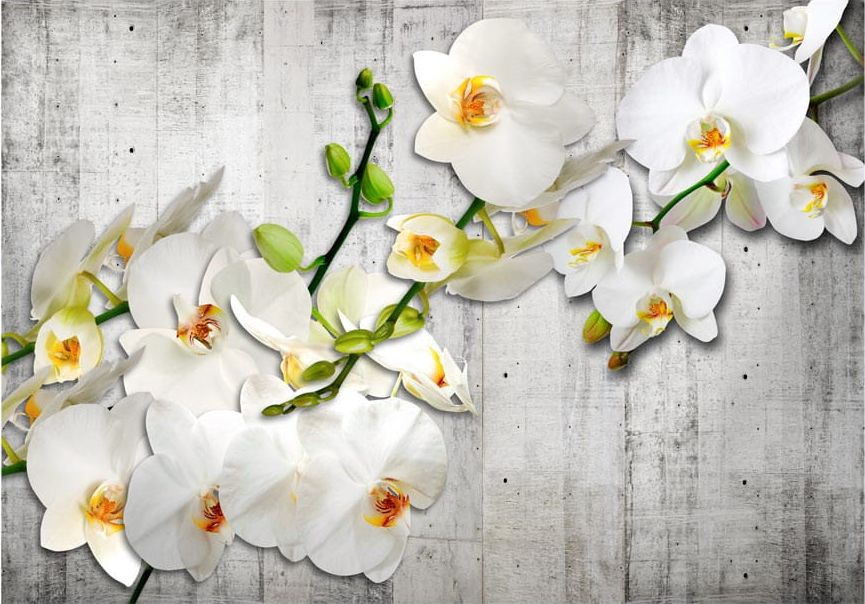 DecoNest Fototapeta - Z szafranowym akcentem - 350X245