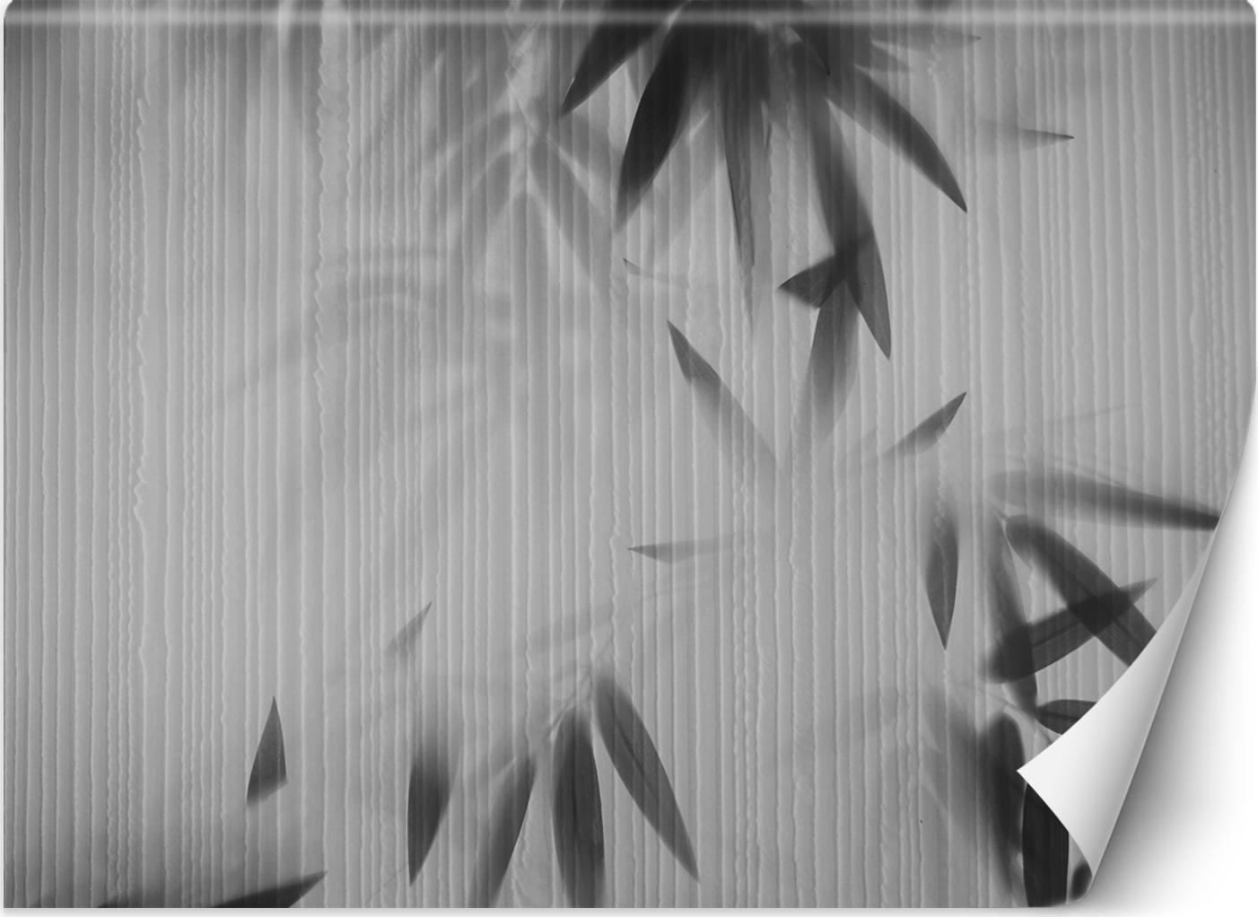 Feeby FOTOTAPETA DO SALONU SYPIALNI Liście 300x210