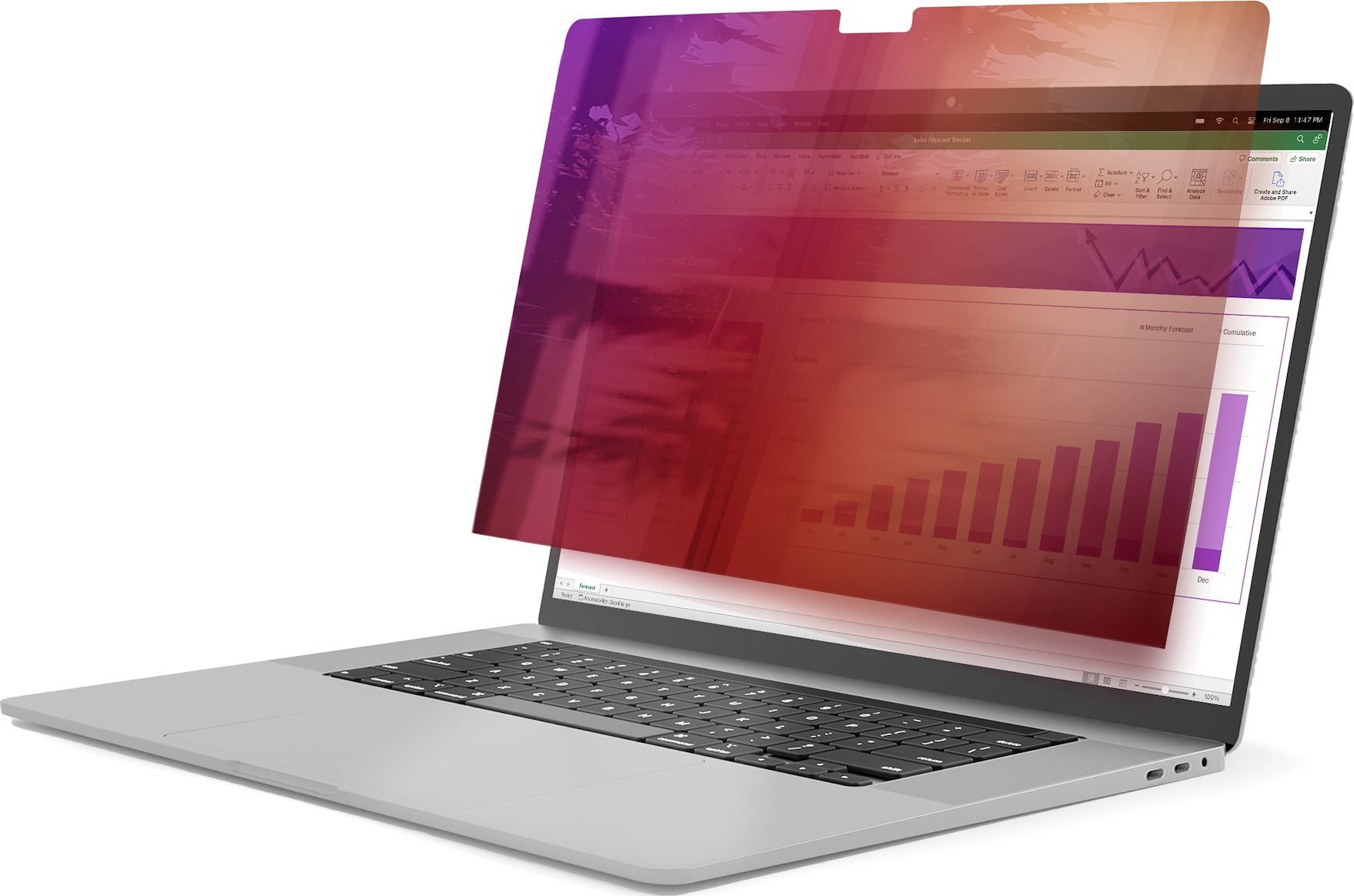 Filtr StarTech StarTech 162MG-PRIVACY-SCREEN filtr do ekranu Bezramkowy filtr prywatności na wyswietlacz 40,6 cm (16")