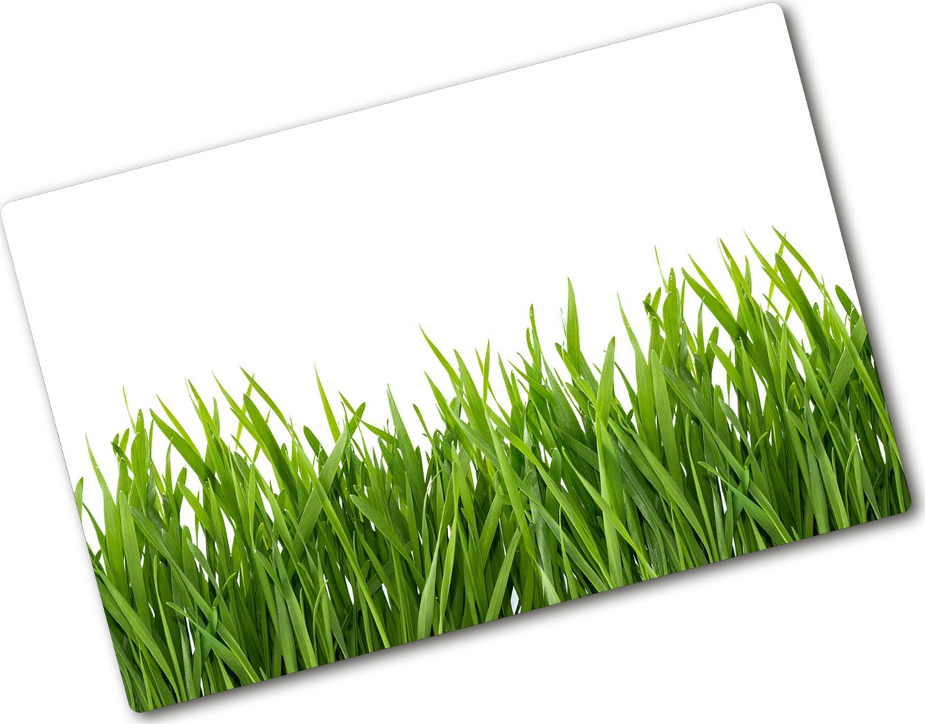 Deska do krojenia Tulup szklana Trawa 41 80x52cm