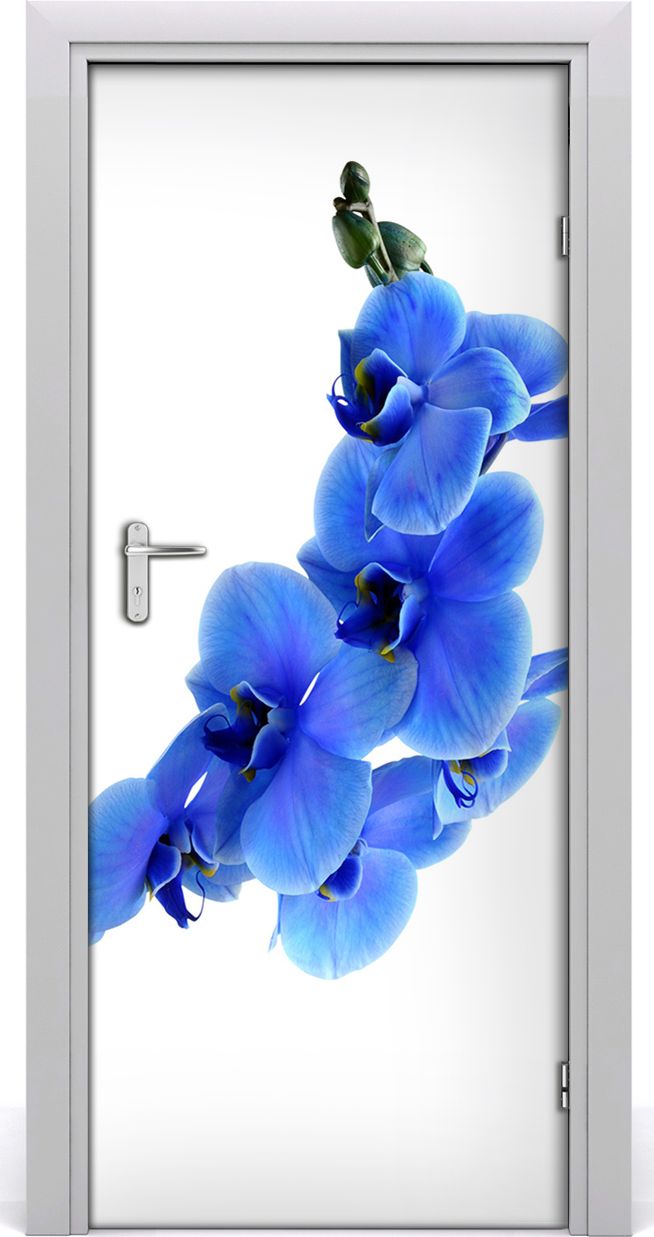 Tulup Fototapeta samoprzylepna na drzwi 85 x 205 cm niebieska Orchidea