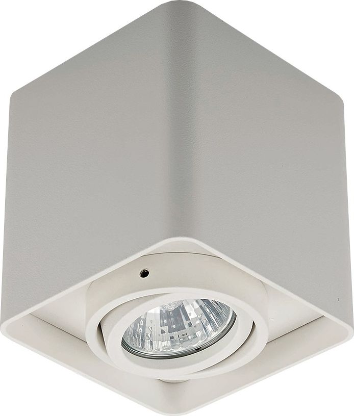 Lampa sufitowa Selsey Spot Mansa biały