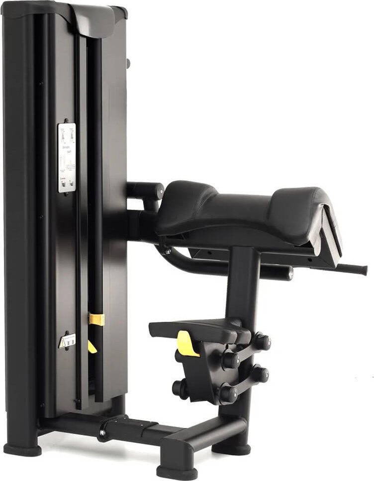 UnderFit Maszyna siłowa do ćwiczeń mięśni dwugłowych ramion UF11066 UNDERFIT profesjonalna