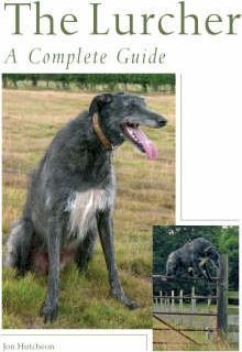 The Lurcher: A Complete Guide