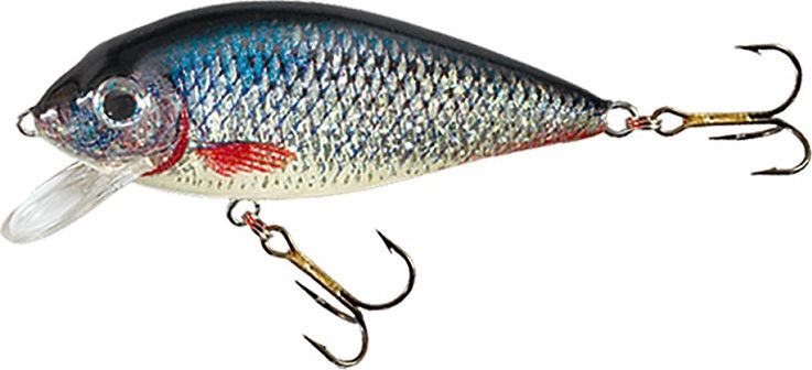 Jaxon Wobler Jaxon holo select 9cm karaś vj-ka9fp