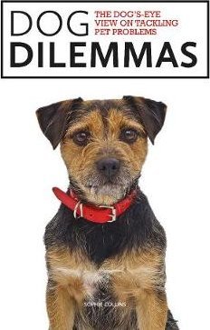 Dog Dilemmas: The Dog's-Eye View on Tackling Pet Problems