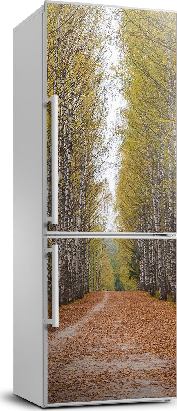 Tulup Naklejka samoprzylepna na lodówkę 70x190 cm Las brzozowy