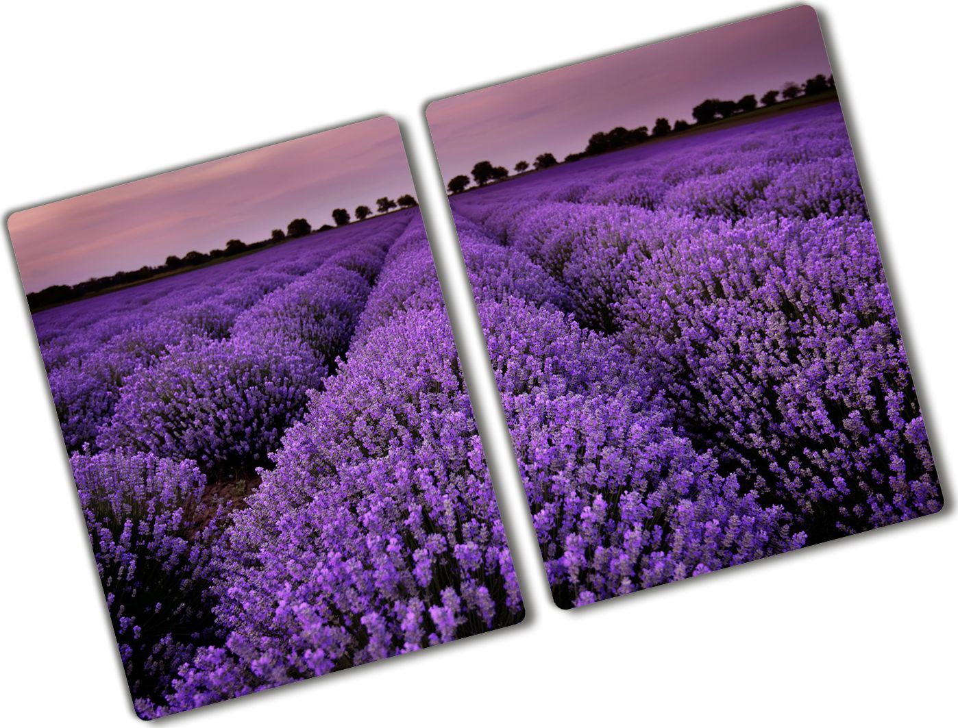 Deska do krojenia Tulup szklana Pole lawendy 5 52x2szt.