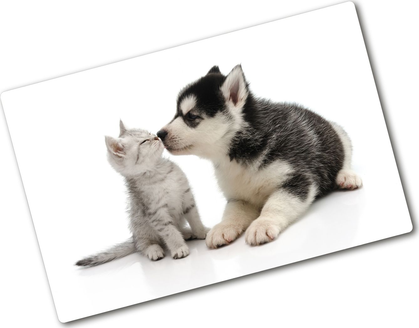 Deska do krojenia Tulup szklana Pies i kot 4 80x52cm