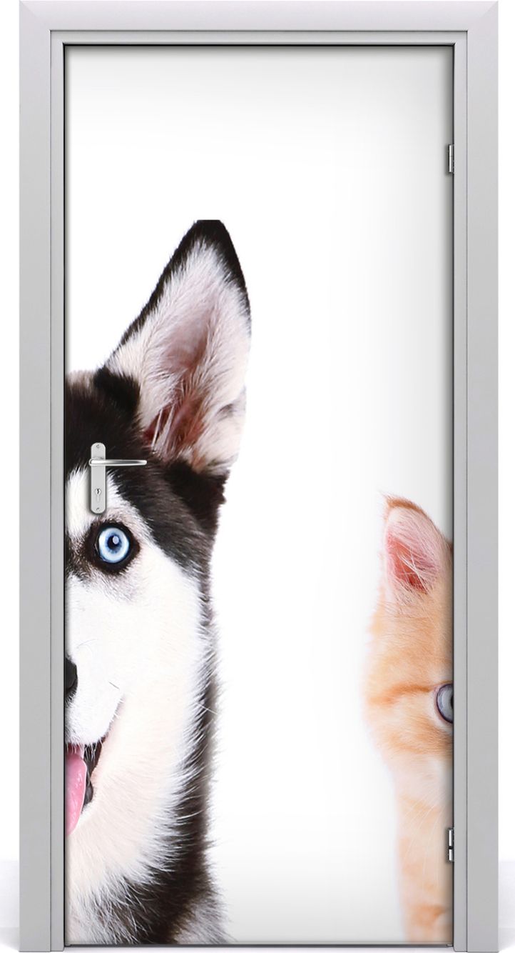 Tulup Fototapeta samoprzylepna na drzwi 95 x 205 cm Pies i kot