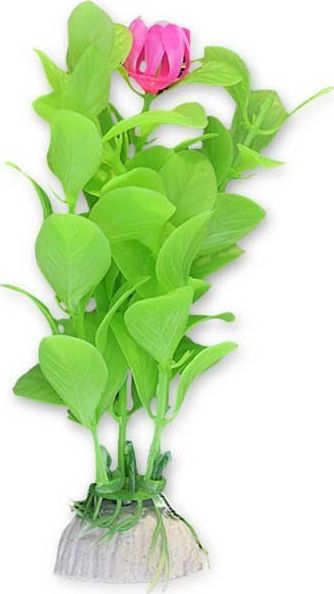 Happet Roślina blister 10cm 1b29 Happet