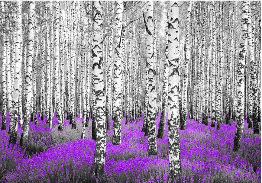 DecoNest Fototapeta - Purpurowy azyl - 300X210