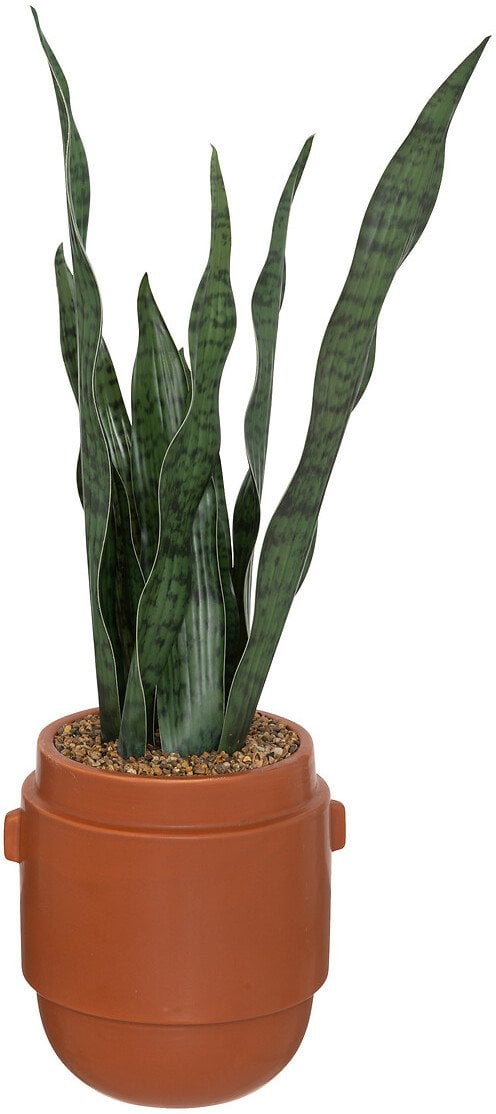 Atmosphera Sztuczna roślina w doniczce, wężownica, 70 cm