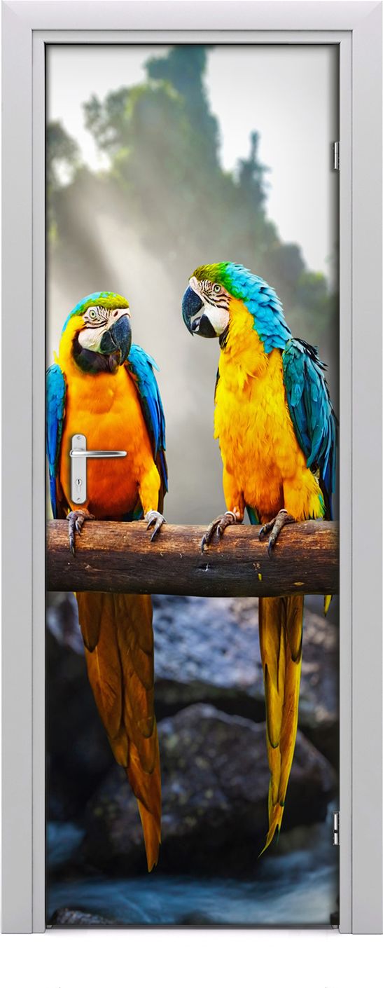 Tulup Fototapeta samoprzylepna na drzwi 75 x 205 cm Ary papugi