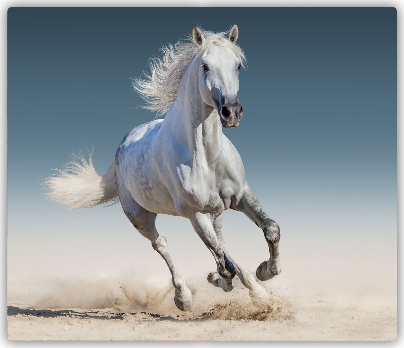 Deska do krojenia Tulup szklana Biały koń w galopie 3 60x52cm