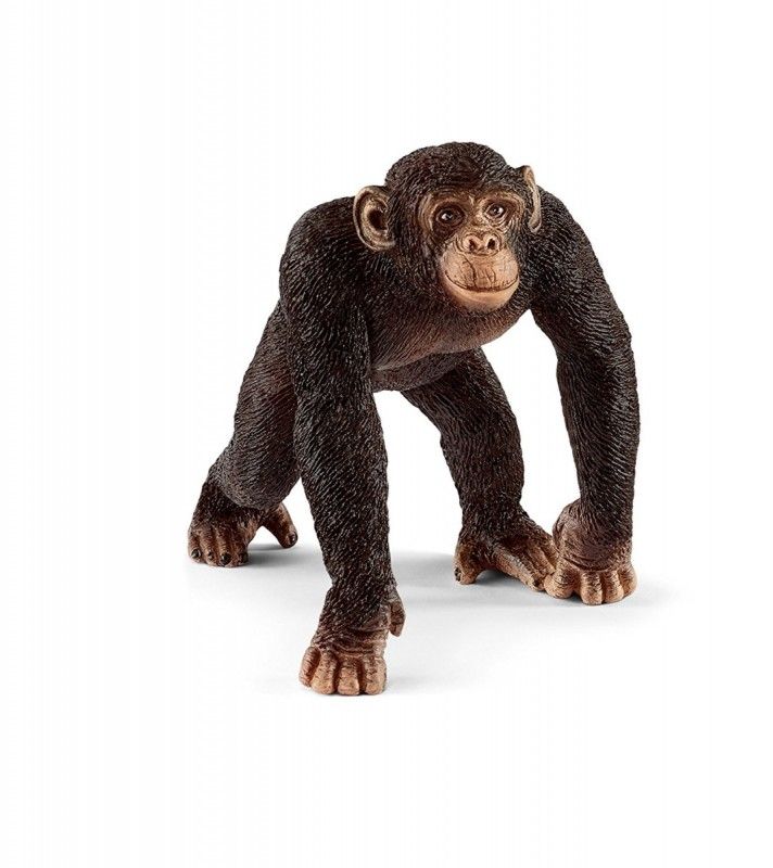 Figurka Schleich Szympans samiec (GXP-622499)