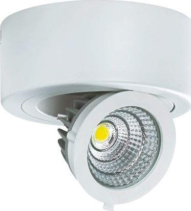 Lampa sufitowa IDEUS Plafoniera LED 9W 4000K IP20 IGOR LED C 1268