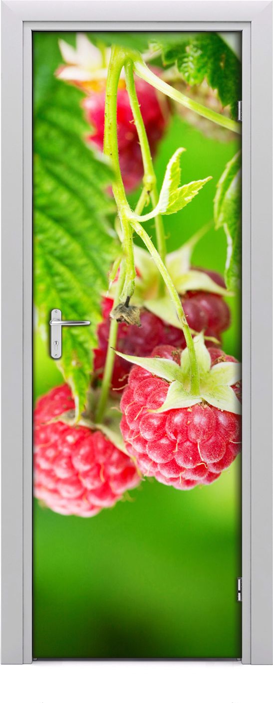 Tulup Fototapeta samoprzylepna na drzwi 75 x 205 cm maliny