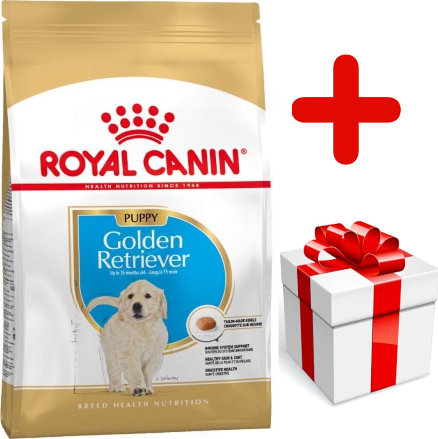 Royal Canin ROYAL CANIN Golden Retriever Puppy 12kg + niespodzianka dla psa GRATIS!