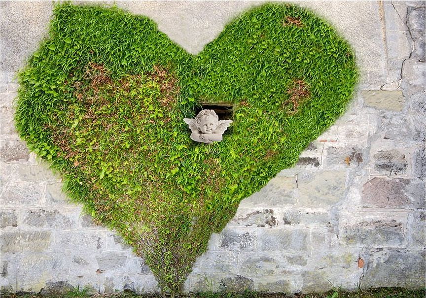 DecoNest Fototapeta - Anioł skradł mi serce - 400X280