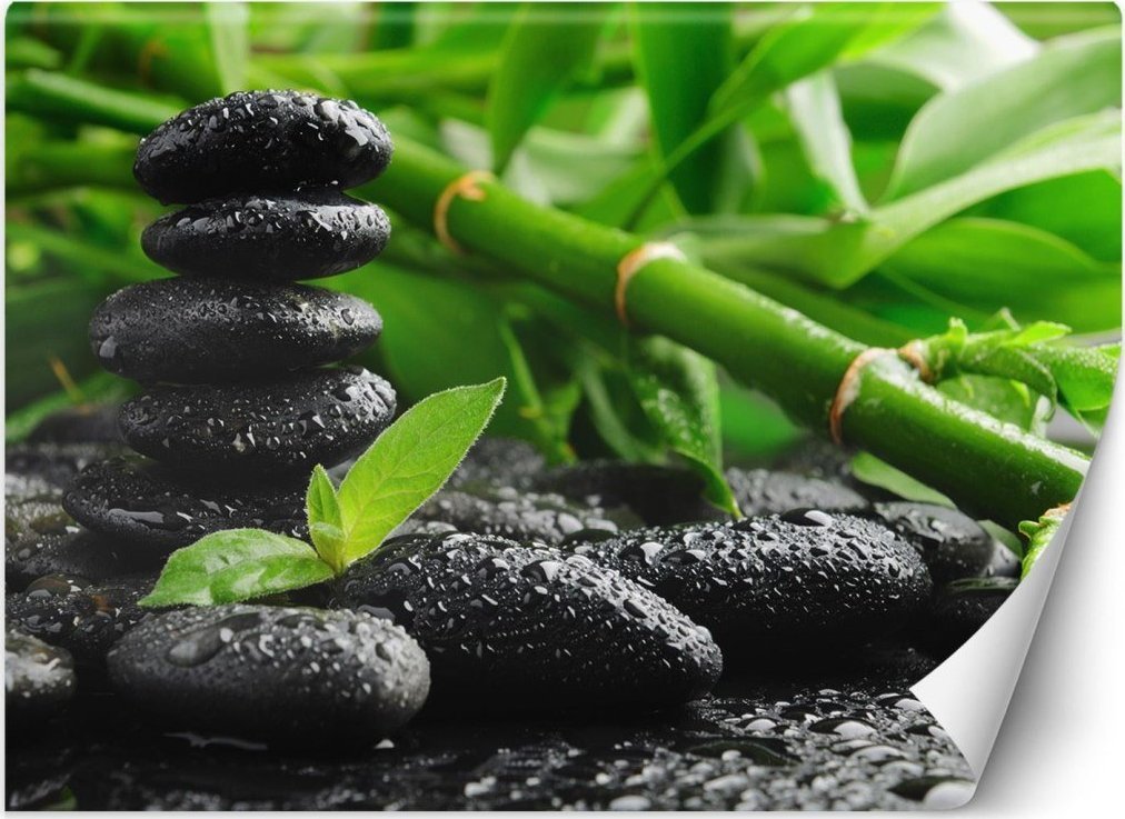 Feeby Fototapeta, Bambus kamienie zen - 250x175