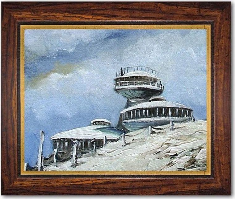 GO-BI Obraz - Sniezka - olejny, ręcznie malowany 37x47cm uniwersalny