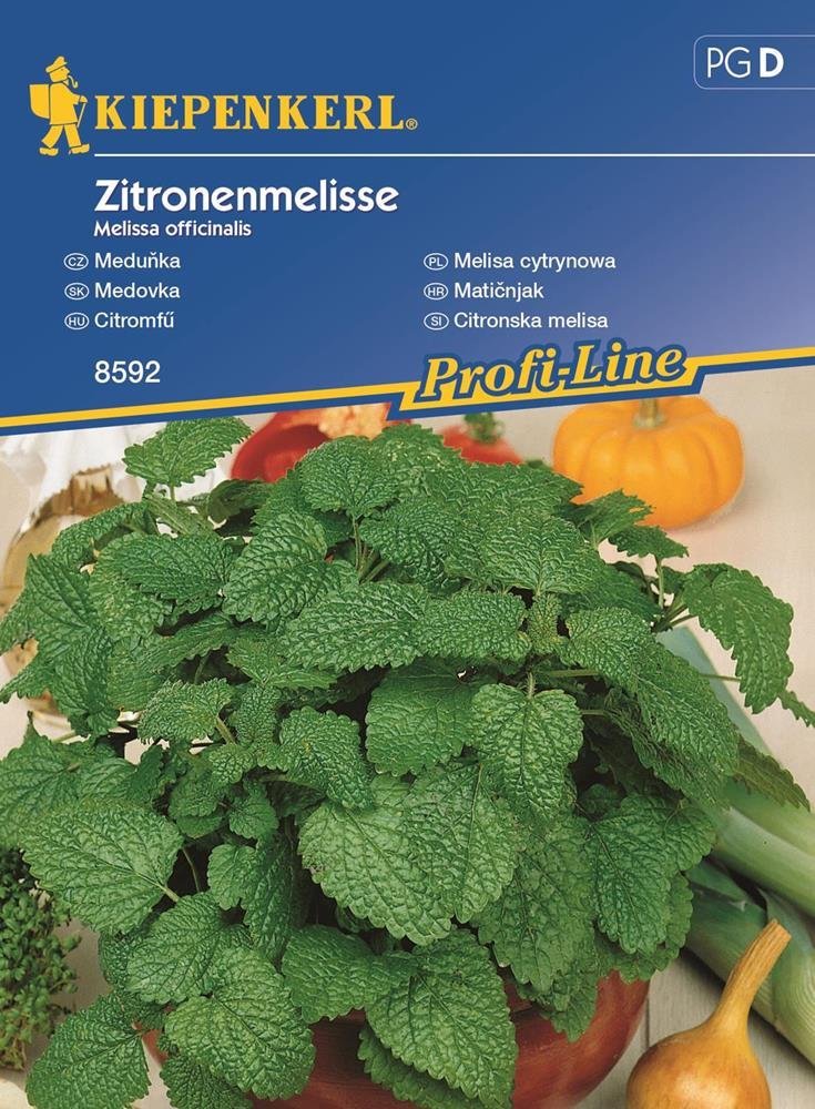 Kiepenkerl Melisa cytrynowa wieloletnia Melissa officinalis