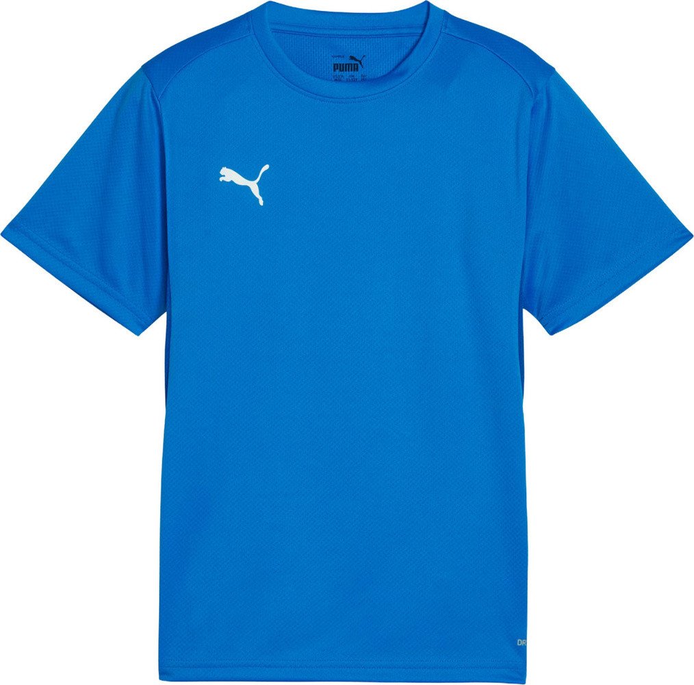 Puma Koszulka dla dzieci TeamGoal Jersey niebieski 658637 02 128cm