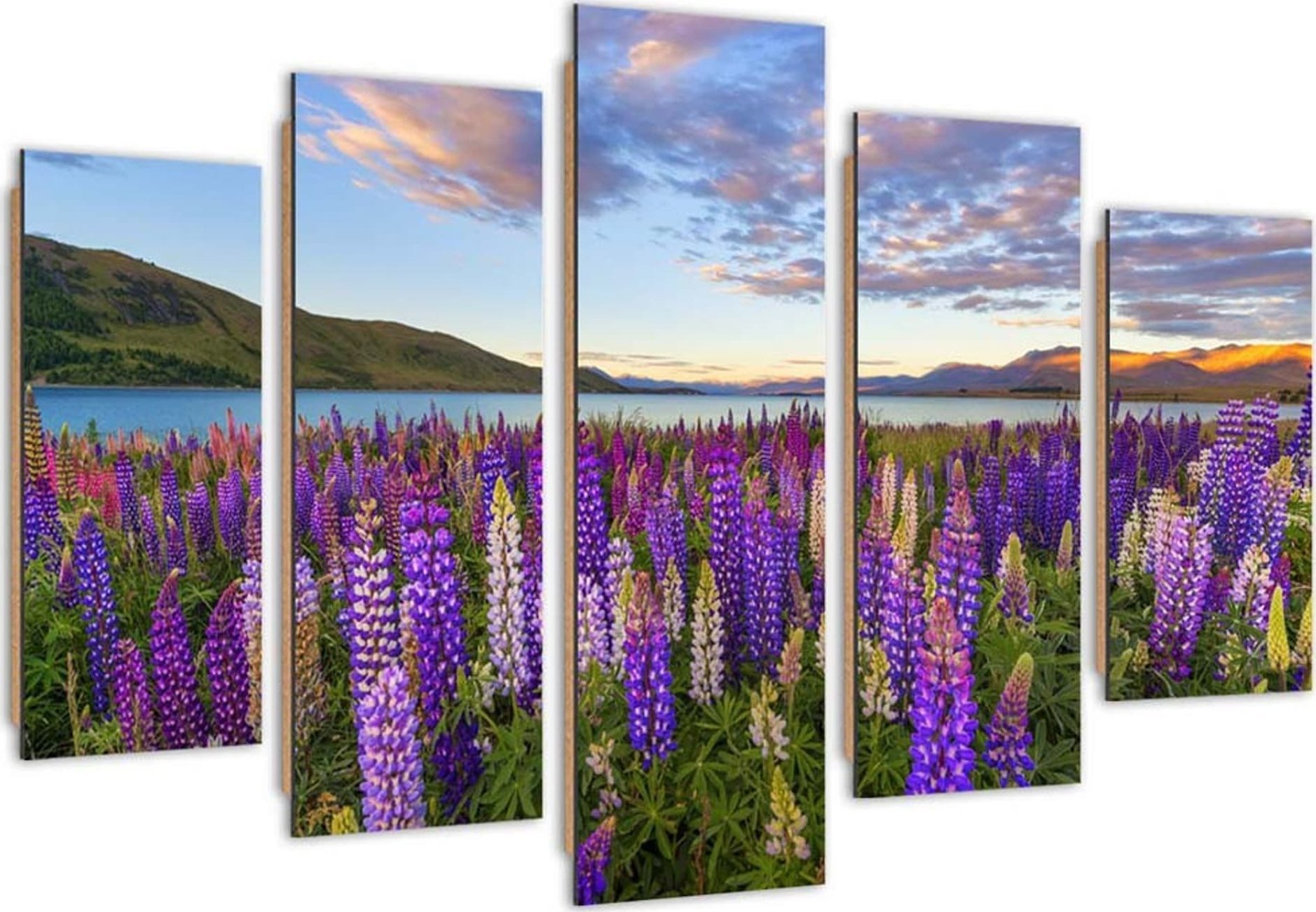 Feeby Obraz pięcioczęściowy Deco Panel, Zapach lawendy (Rozmiar 200x100)