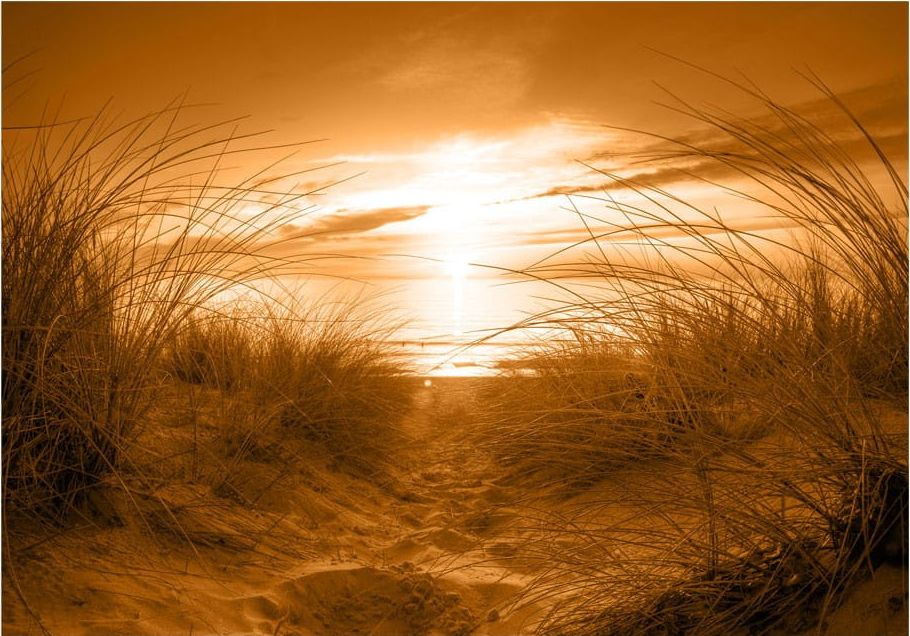 DecoNest Fototapeta - plaża (sepia) - 250X175