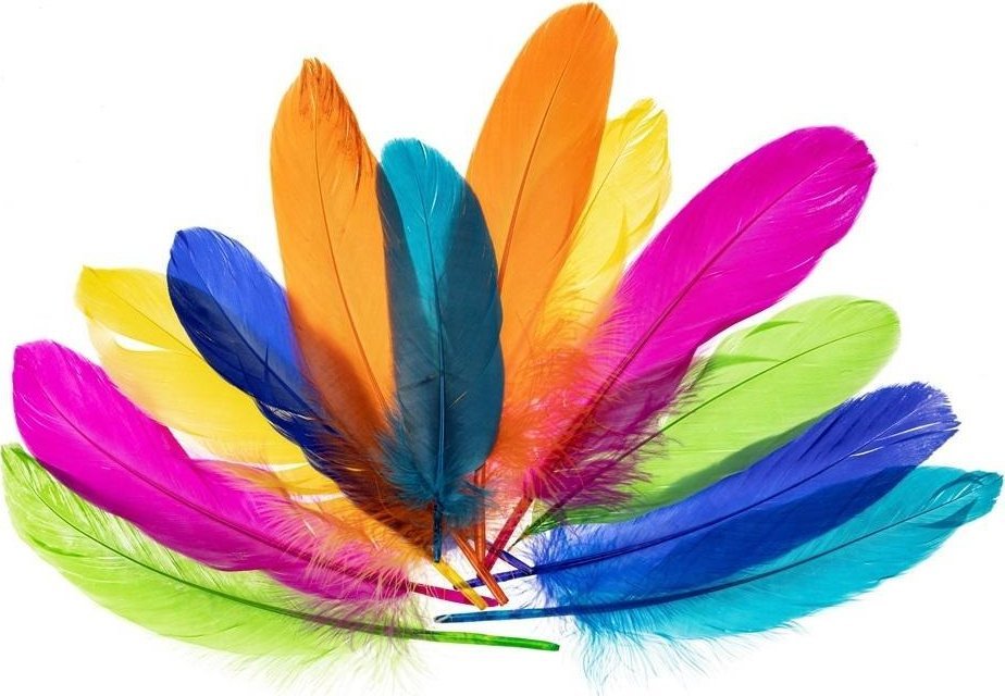 Piórka gęsie nenowy 15-20cm