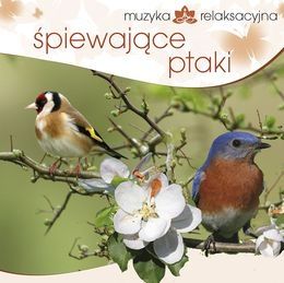 Muzyka relaksacyjna. Śpiewające ptaki